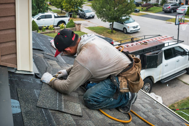 Professional Roof Leak Repair technician working in Plato, MN